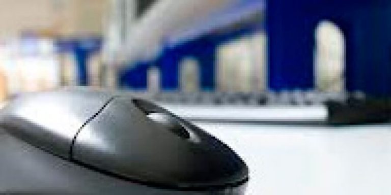 Utilización e-commerce en las PYMES